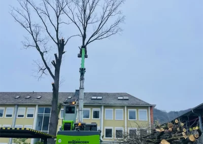 Forstbetrieb Pierre Diesler Osterspai Baumpflege-Fällung