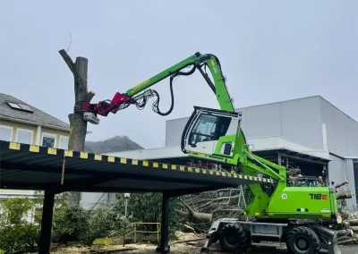Forstbetrieb Pierre Diesler Osterspai Baumpflege-Fällung