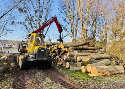 Forstbetrieb Pierre Diesler Osterspai Fällung und Rodung