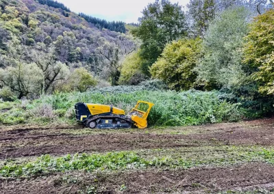 Forstbetrieb Pierre Diesler Osterspai Forstmulcher
