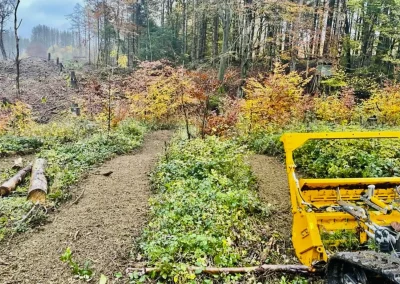 Forstbetrieb Pierre Diesler Osterspai Forstmulcher