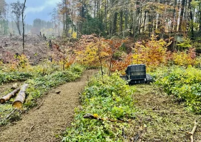 Forstbetrieb Pierre Diesler Osterspai Forstmulcher