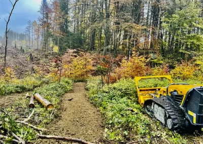 Forstbetrieb Pierre Diesler Osterspai Forstmulcher