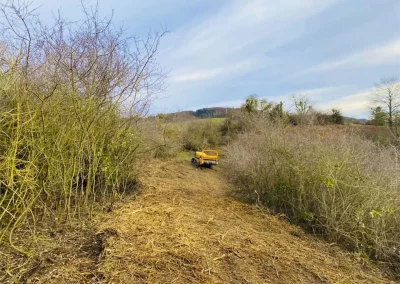 Forstbetrieb Pierre Diesler Osterspai Forstmulcher