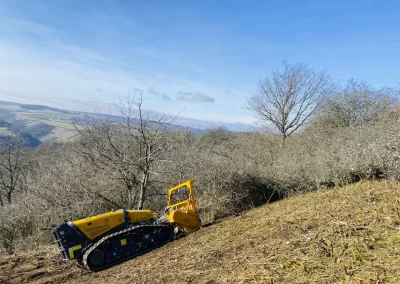 Forstbetrieb Pierre Diesler Osterspai Forstmulcher