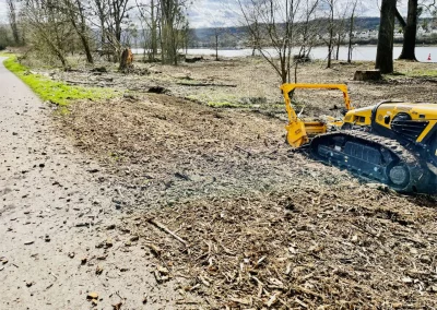 Forstbetrieb Pierre Diesler Osterspai Forstmulcher