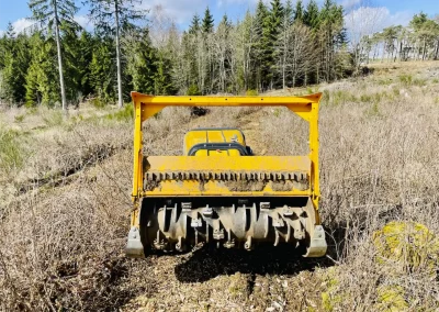 Forstbetrieb Pierre Diesler Osterspai Forstmulcher