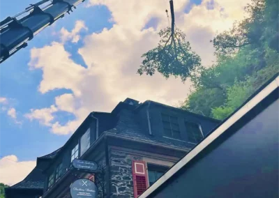 Forstbetrieb Pierre Diesler Osterspai Fällung mit Kran