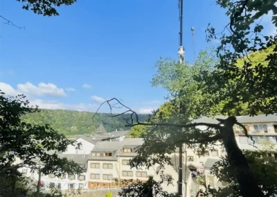 Forstbetrieb Pierre Diesler Osterspai Fällung mit Kran