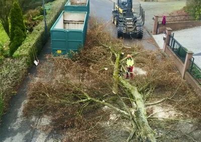 Forstbetrieb Pierre Diesler Osterspai Fällung mit Kran