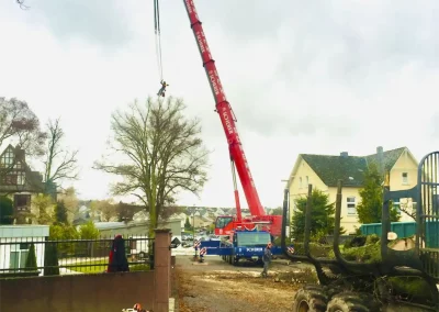 Forstbetrieb Pierre Diesler Osterspai Fällung mit Kran