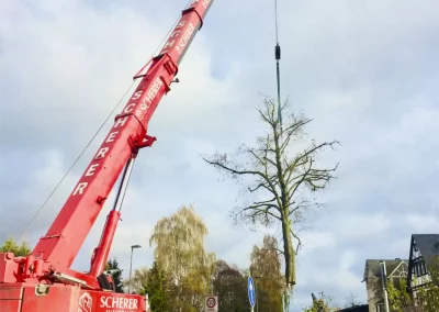 Forstbetrieb Pierre Diesler Osterspai Fällung mit Kran