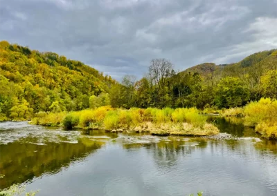 Forstbetrieb Pierre Diesler Osterspai Naturschutzmassnahmen