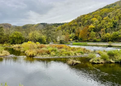Forstbetrieb Pierre Diesler Osterspai Naturschutzmassnahmen