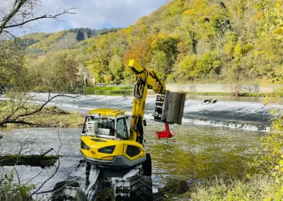 Forstbetrieb Pierre Diesler Osterspai Naturschutzmassnahmen