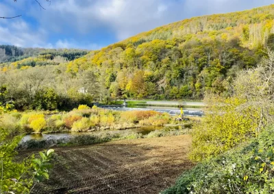 Forstbetrieb Pierre Diesler Osterspai Naturschutzmassnahmen