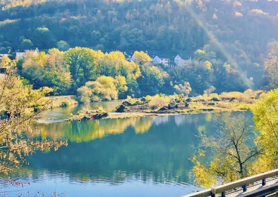 Forstbetrieb Pierre Diesler Osterspai Naturschutzmassnahmen