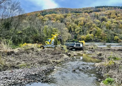 Forstbetrieb Pierre Diesler Osterspai Naturschutzmassnahmen