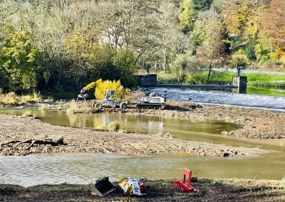 Forstbetrieb Pierre Diesler Osterspai Naturschutzmassnahmen