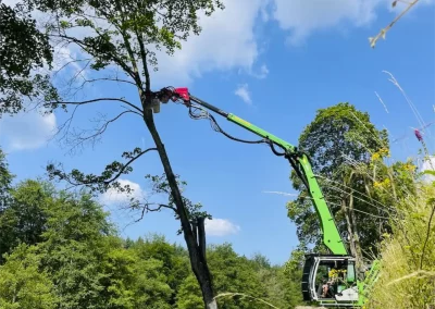 Forstbetrieb Pierre Diesler Osterspai Verkehrssicherung