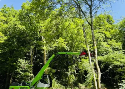Forstbetrieb Pierre Diesler Osterspai Verkehrssicherung