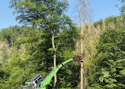 Forstbetrieb Pierre Diesler Osterspai Verkehrssicherung