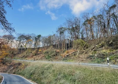Forstbetrieb Pierre Diesler Osterspai Verkehrssicherung
