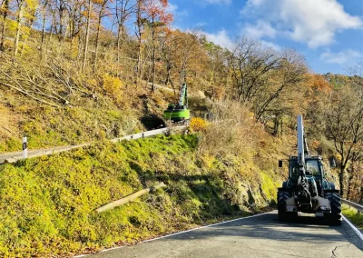 Forstbetrieb Pierre Diesler Osterspai Verkehrssicherung