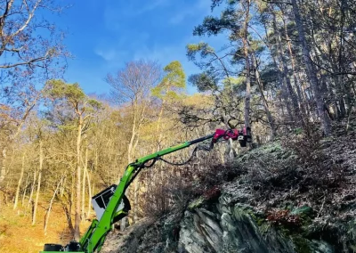 Forstbetrieb Pierre Diesler Osterspai Verkehrssicherung