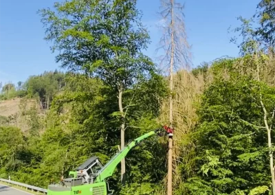 Forstbetrieb Pierre Diesler Osterspai Verkehrssicherung